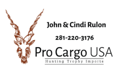 Pro Cargo 2