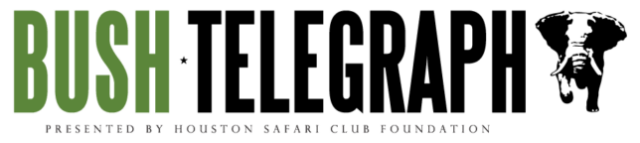 https://hscfdn.org/wp-content/uploads/2024/10/BT_HSCF-644x144-1-640x143.png